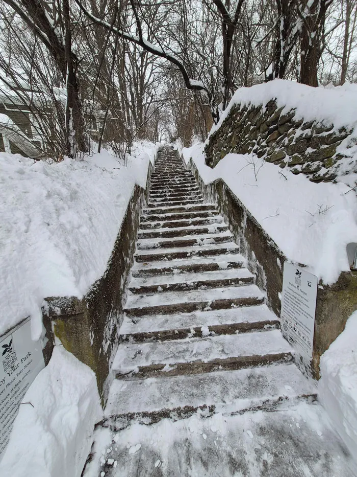 Snowstorm-covered stone stairs in the U.S. surrounded by snowbanks and leafless trees on a winter day.