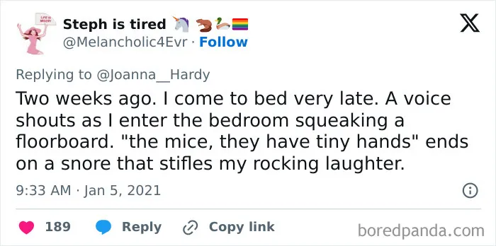 Screenshot of a tweet sharing one of the funniest things heard someone say in their sleep about mice with tiny hands.