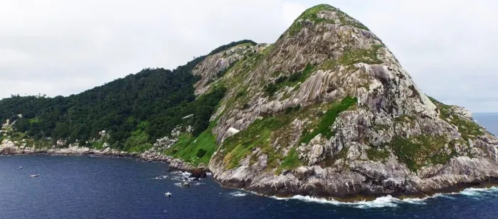 Snake Island