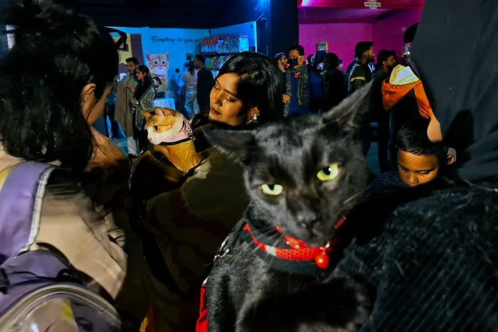 16 Adorable Moments I Captured At Paw Carnival 2026