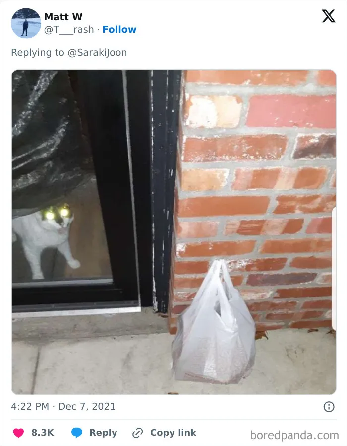 Le daría una propina extra por esto