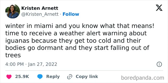 67 Hilarious Tweets That Perfectly Capture Life In Winter