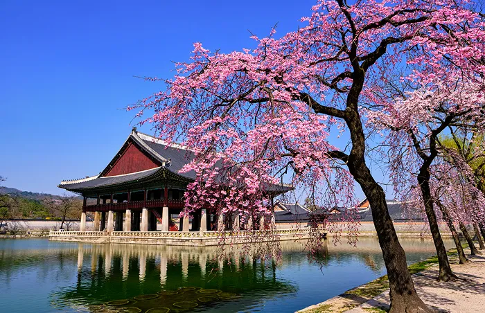 #6 Korea (2333 BC)