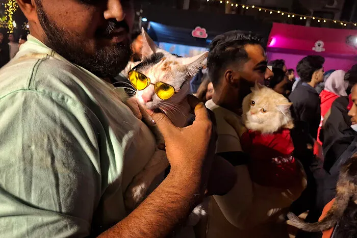 16 Adorable Moments I Captured At Paw Carnival 2026