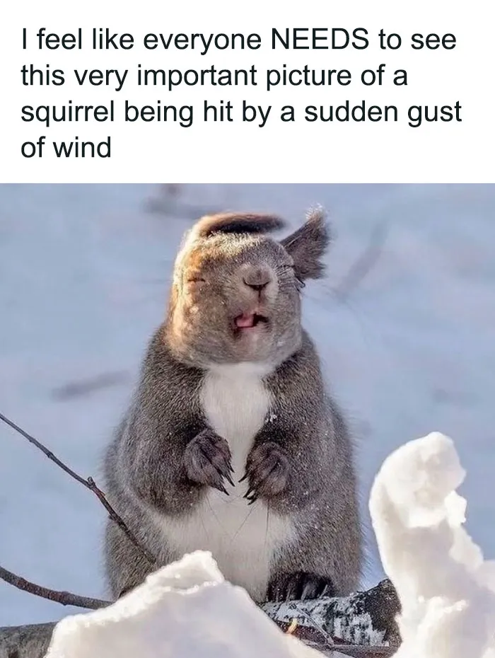 80 Memes With Absolutely No Filter That May Make Your Jaw Drop In Shock