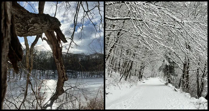 Eric Carpenter’s Photo Journey Through The Lens Of A Daily Walk