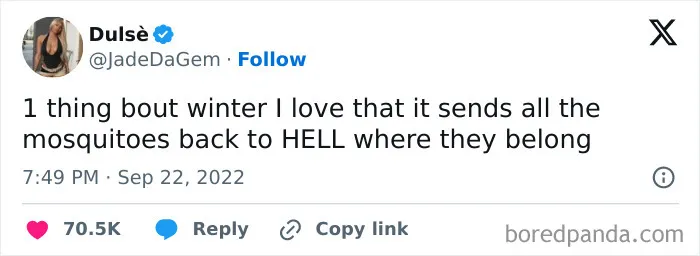 67 Hilarious Tweets That Perfectly Capture Life In Winter