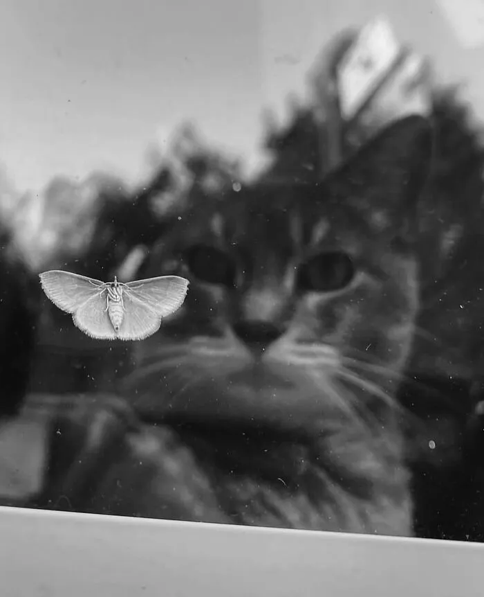 35 New And Captivating Street Photos That Showcase Life’s Unexpected Moments