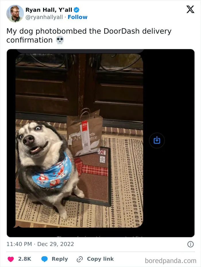 “I’ll Take It From Here, Boss”