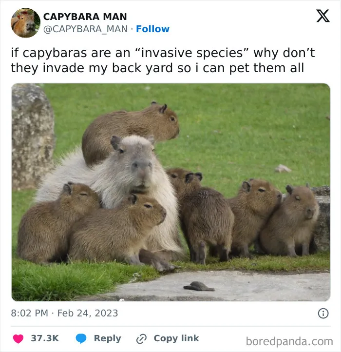 50 Random Memes For Anyone Who Needs A Pick-Me-Up Today (New Pics)