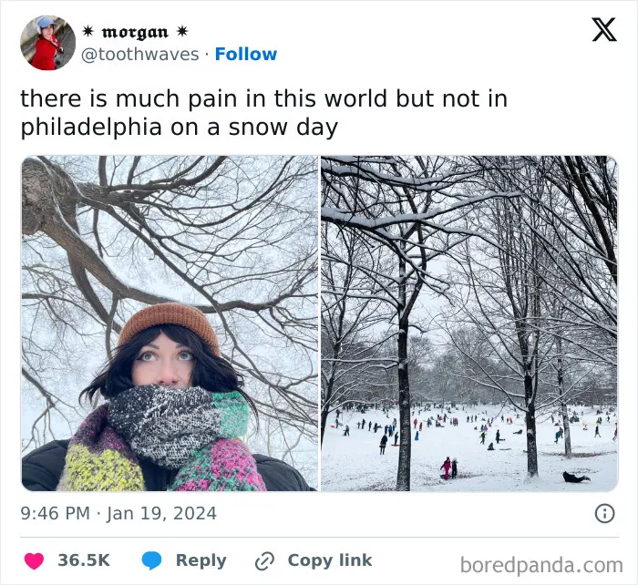 67 Hilarious Tweets That Perfectly Capture Life In Winter