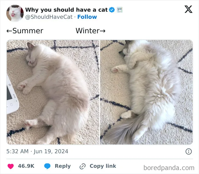 67 Hilarious Tweets That Perfectly Capture Life In Winter