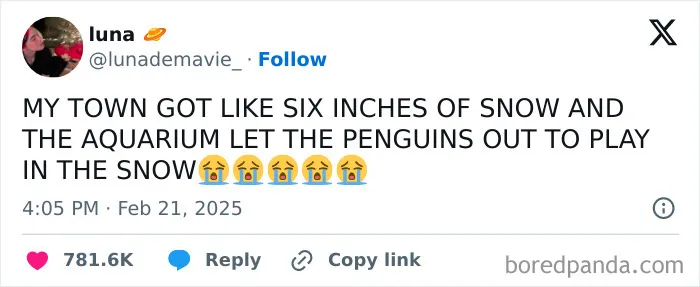 67 Hilarious Tweets That Perfectly Capture Life In Winter