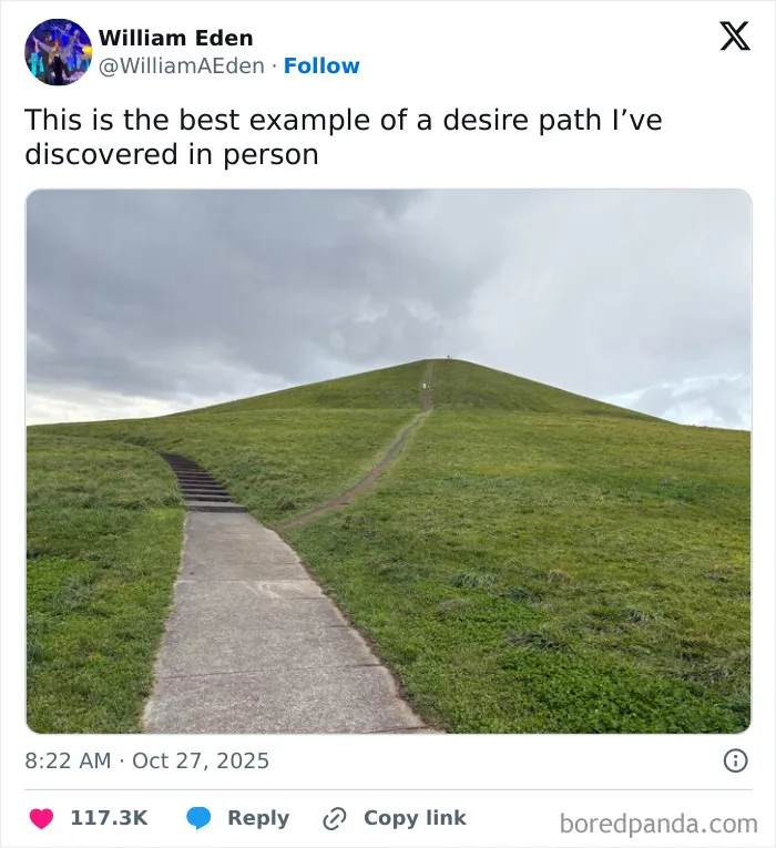 Wish I Could See What The View Is Like From Up There!