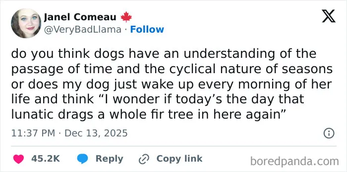 Sometimes I Wonder If Cats And Dogs That Are Born In July Just Think That The World Will Continually Get Darker And Colder Forever Until They Find Out About Spring