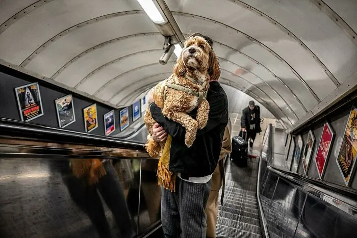 This Street Photographer Captures Raw And Human Moments In Everyday Life (40 Pics)