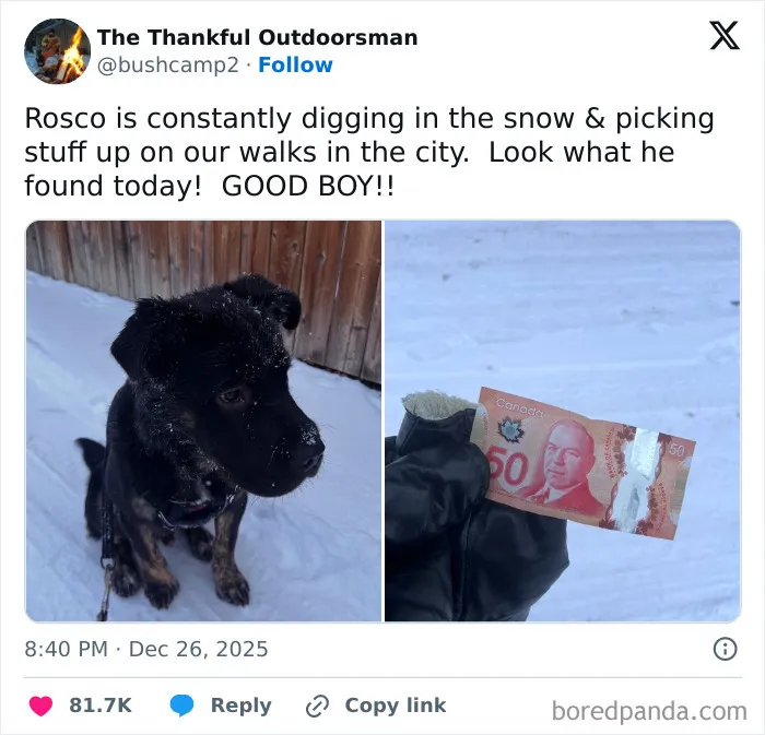 67 Hilarious Tweets That Perfectly Capture Life In Winter