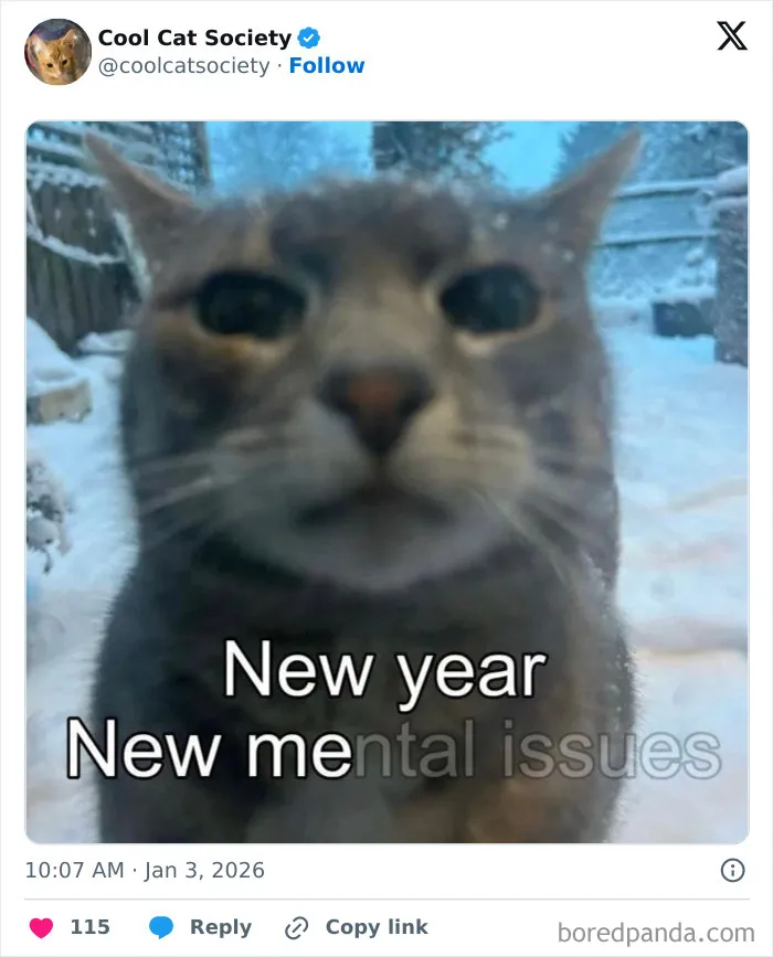 Close-up of a funny cat meme with text highlighting the humor and awesomeness of cats in snowy outdoor setting.