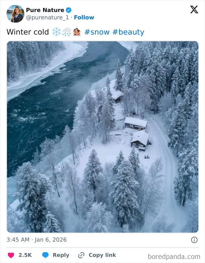 Snow-covered cabins surrounded by cozy winter forest and a flowing river in a peaceful snowy landscape.
