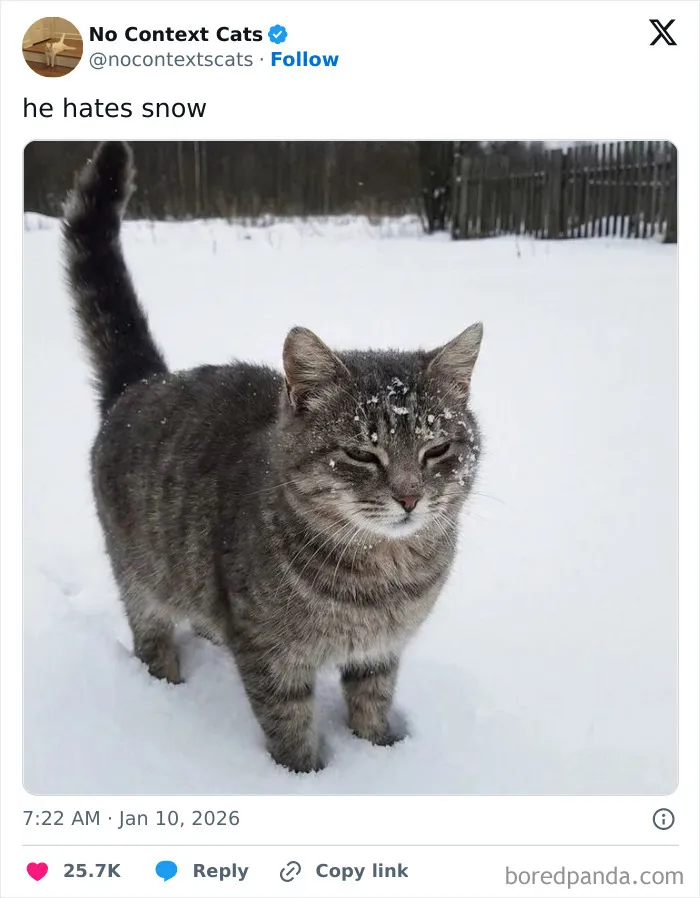 He Hates Snow