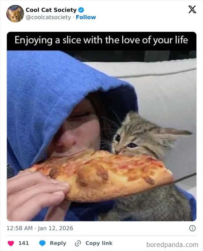 Person in a blue hoodie sharing a slice of pizza with a kitten showcasing funny memes about how awesome cats are.