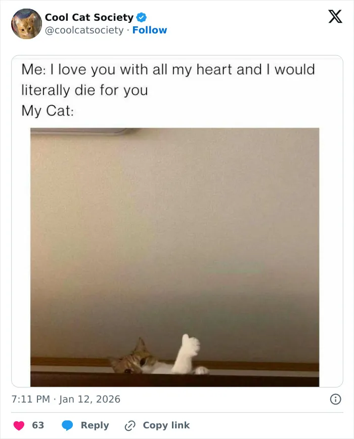 Cat peeking over edge with paw raised, showing a thumbs-up in a funny meme about how awesome cats are.