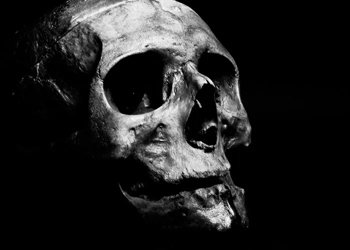 Close-up of an eerie human skull in dim light, illustrating wacky stories shared by people hoping for belief.
