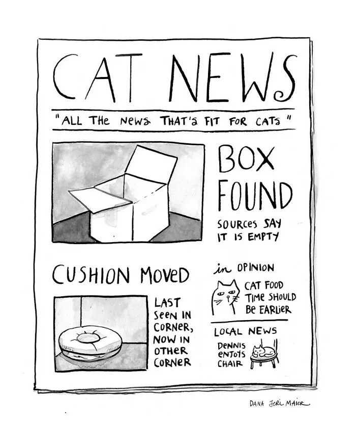 25 Relatable Comics That Showcase The Absurdities Of Everyday Life