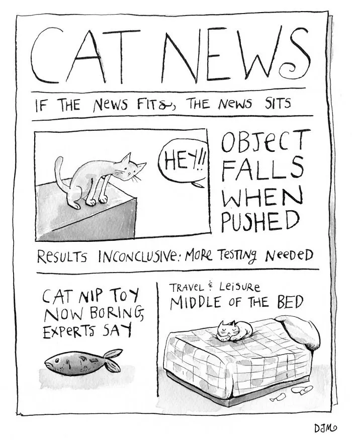 25 Relatable Comics That Showcase The Absurdities Of Everyday Life