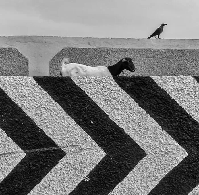 35 New And Captivating Street Photos That Showcase Life’s Unexpected Moments