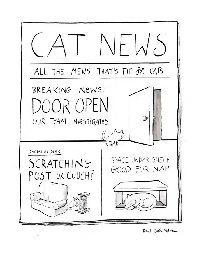 25 Relatable Comics That Showcase The Absurdities Of Everyday Life