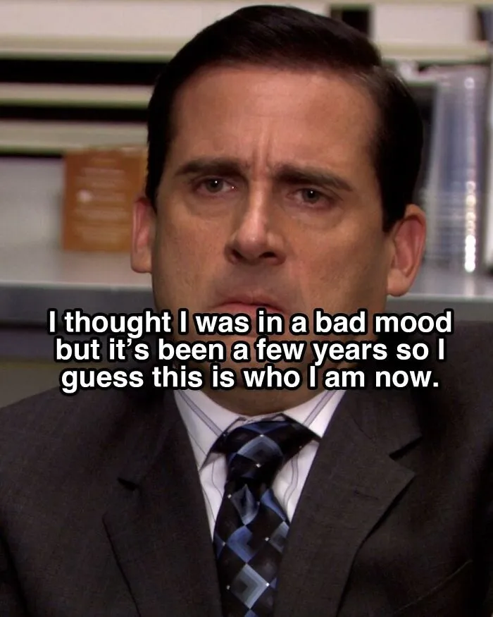 People Are Cracking Up At These 120 Memes Inspired By The TV Series "The Office"