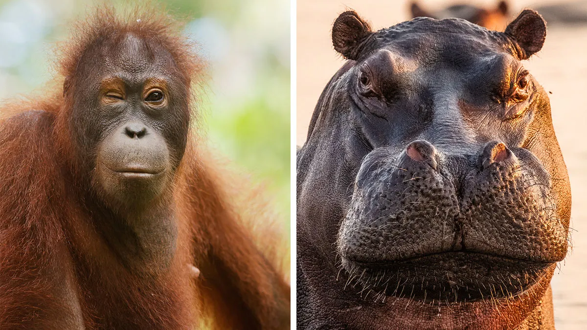 My 21 Photos That Show Why Patience Is Everything In Wildlife Photography