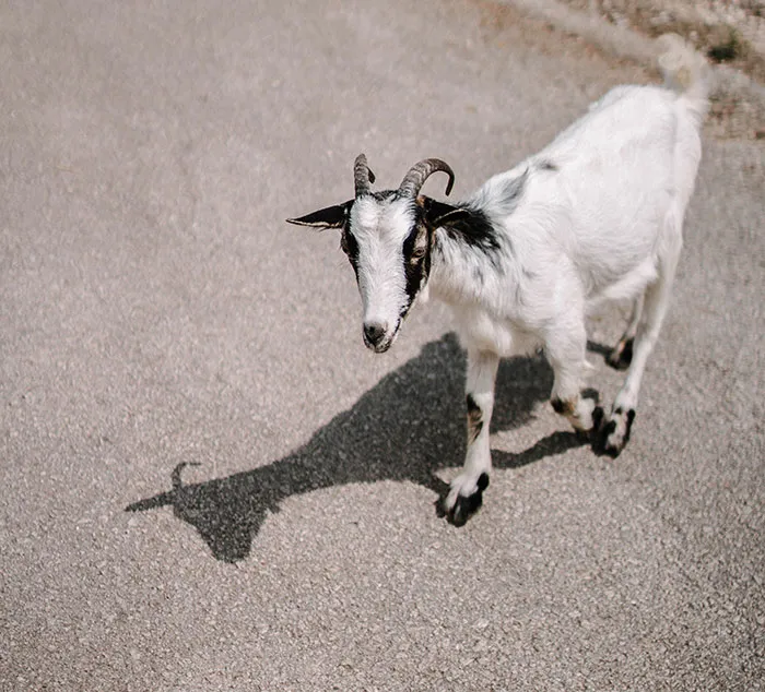 53 Of The Most Bizarre Things People Have Seen Or Experienced In Their Lives