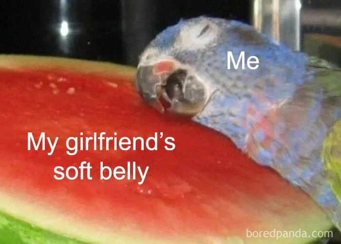 40 Cute Memes Summing Up What It’s Like To Be In A Loving Relationship
