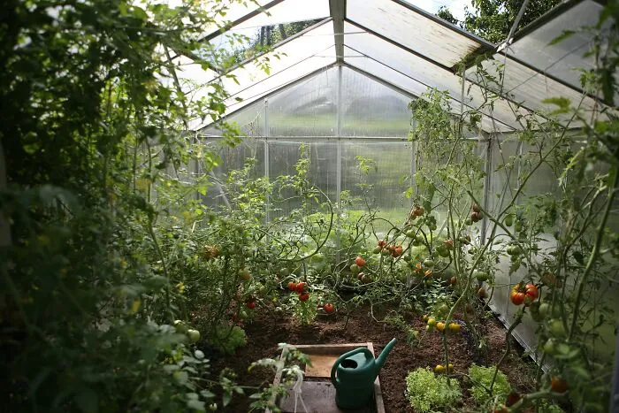 27 Small Joys People Forget To Appreciate, According To Our Community