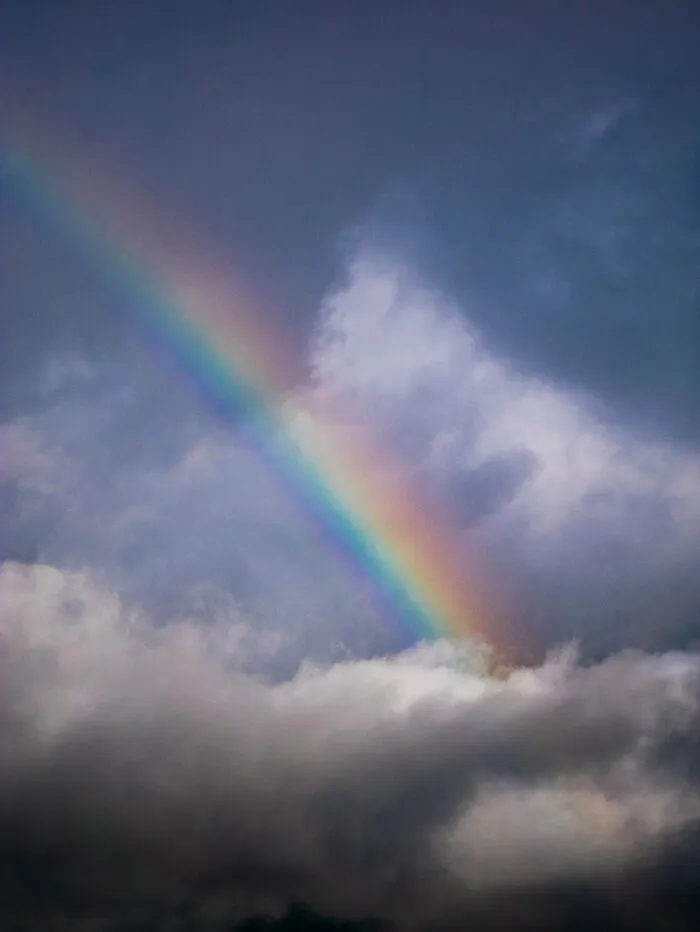 27 Small Joys People Forget To Appreciate, According To Our Community