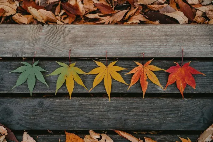 27 Small Joys People Forget To Appreciate, According To Our Community
