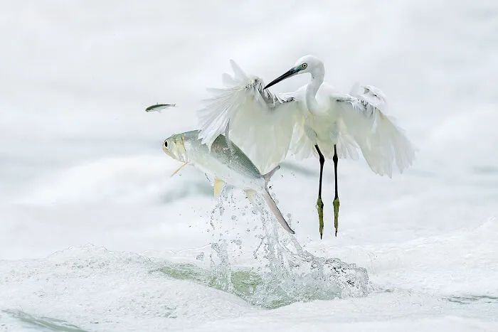 Pass By From The Series 'The Epic Of Survival In The Waves' By Xiaoping Lin