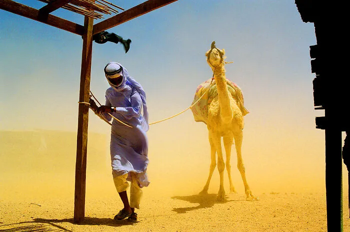 Give Me Shelter From The Series 'Going Bedouin' By Laura Jean Zito