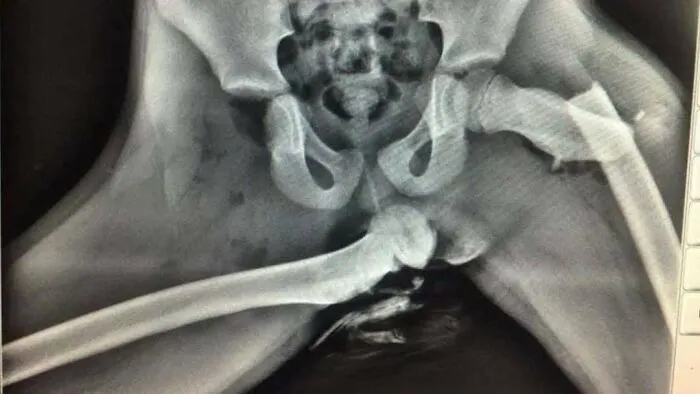 50 Medical Pics That Are Weirdly Mesmerizing And Slightly Disturbing