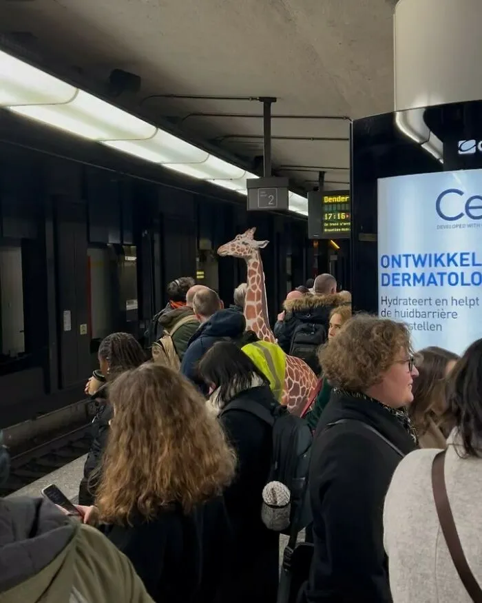 Crowded Brussels metro platform with people waiting and a life-sized giraffe toy among the weirdest street sights in Brussels.