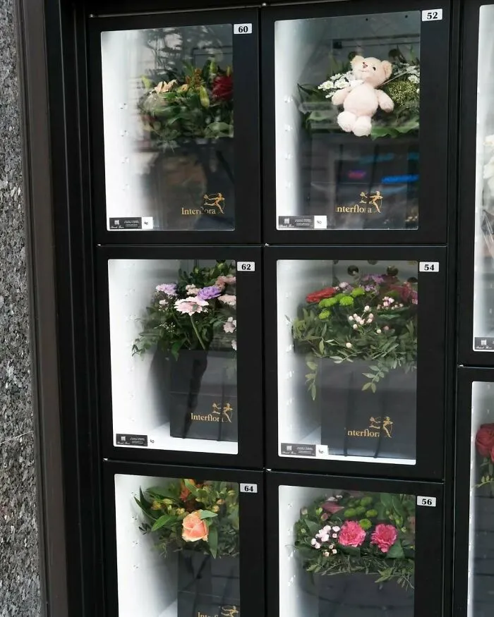 Flower bouquets and a small teddy bear displayed in glass vending machines on the streets of Brussels, showcasing weird and unhinged scenes.