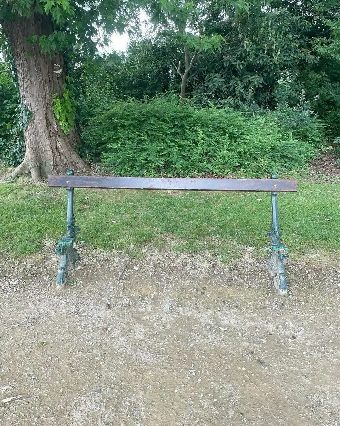 Unhinged street scene in Brussels showing a bench with no seat surrounded by greenery and trees.