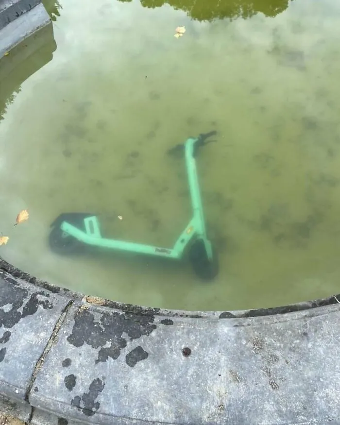 Electric scooter submerged in murky water in a public area, one of the weirdest and most unhinged things seen on Brussels streets.