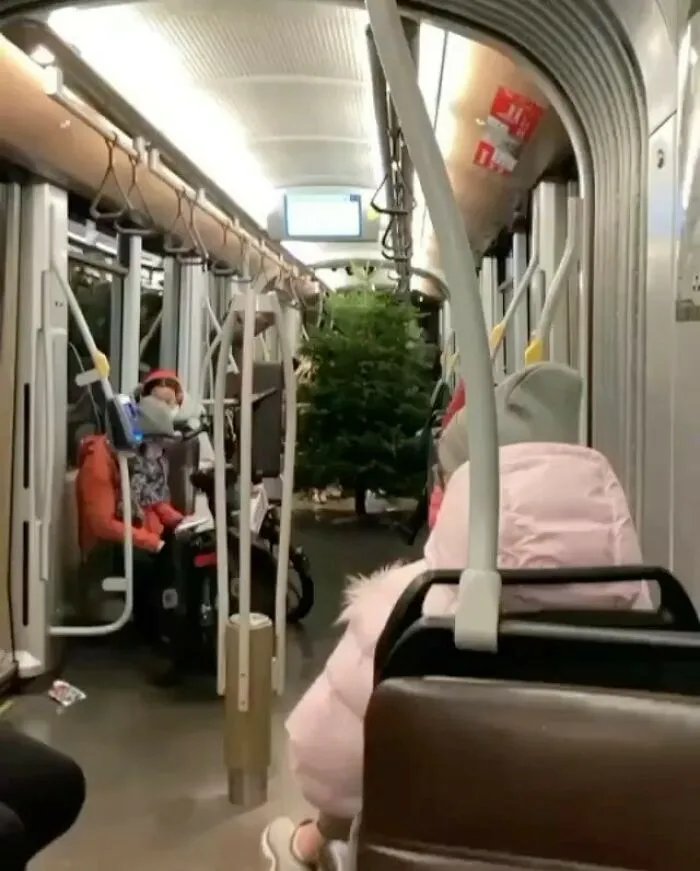Christmas tree being transported on public transit, one of the weirdest and most unhinged things seen on the streets of Brussels