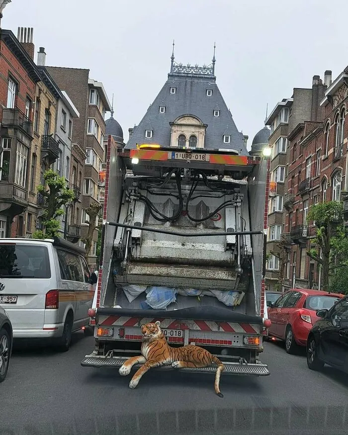 95 Bizarre Photos That Perfectly Encapsulate What It’s Like To Live In Brussels