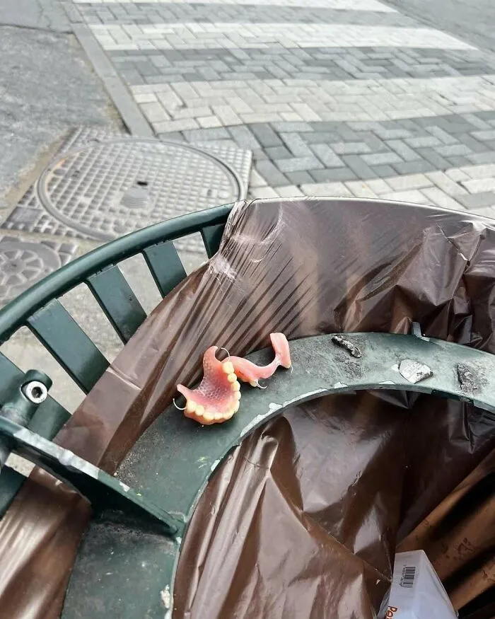 Partial set of false teeth discarded on a trash bin in the streets of Brussels, showcasing weird street finds.
