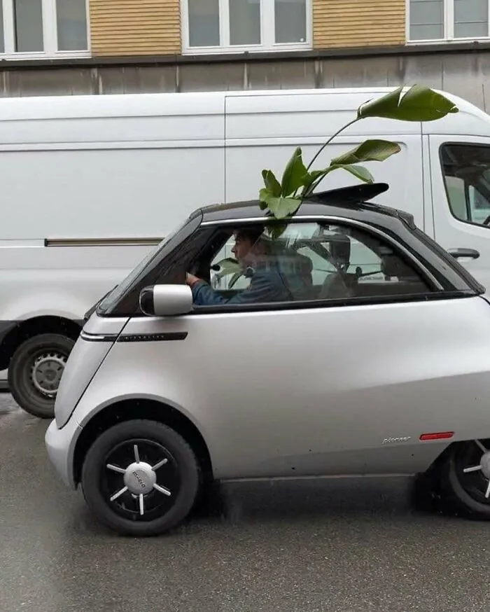 Small silver car driving on the streets of Brussels with a large plant growing out of its sunroof, showcasing weird street scenes.