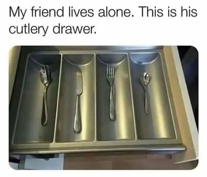 Cutlery drawer with single spoon, knife, fork, and teaspoon illustrating relatable memes about life as an introvert.